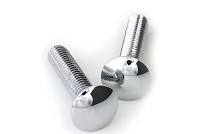 Stainless Steel Carriage Bolts