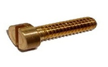 nut